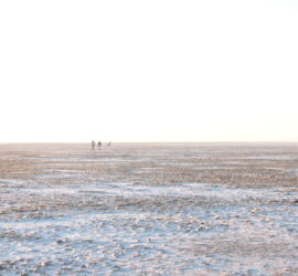 Destination #RannUtsav in Gujarat — Celebrating the Rann of Kutch