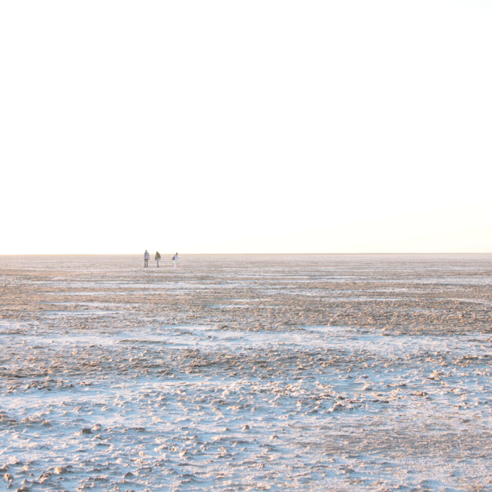 Destination #RannUtsav in Gujarat — Celebrating the Rann of Kutch