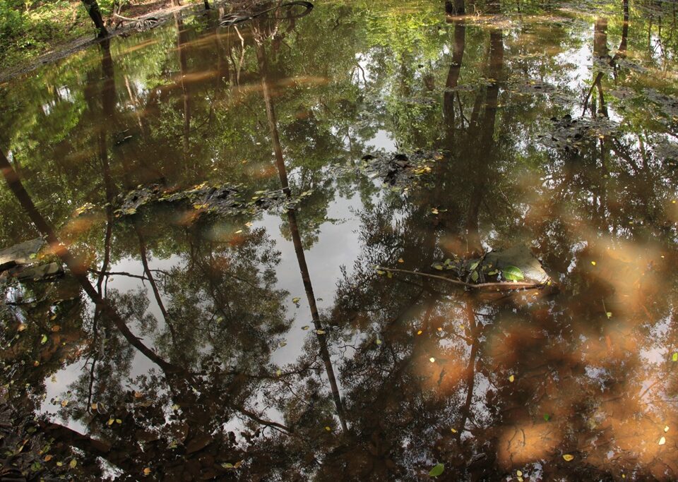 Sanjay Gandhi National Park Mumbai