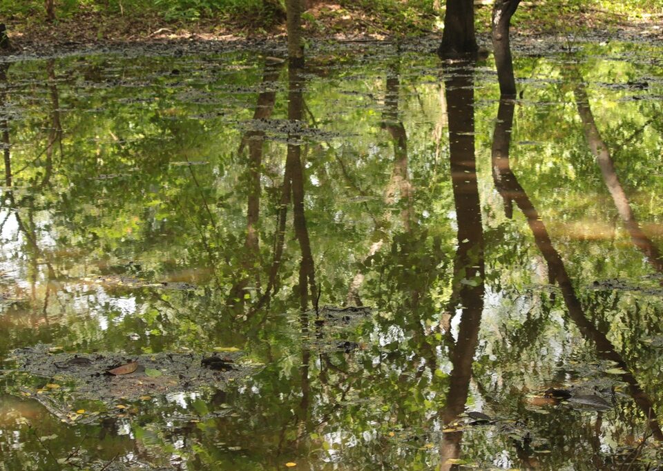 Sanjay Gandhi National Park Mumbai