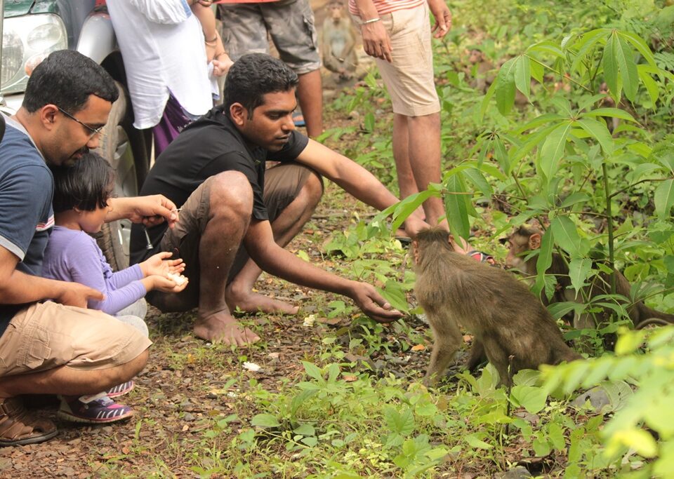 Sanjay Gandhi National Park Mumbai