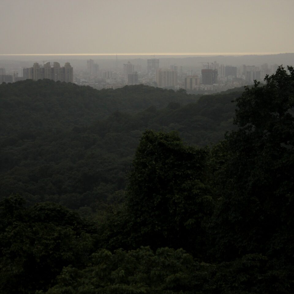 Kanheri Caves Mumbai