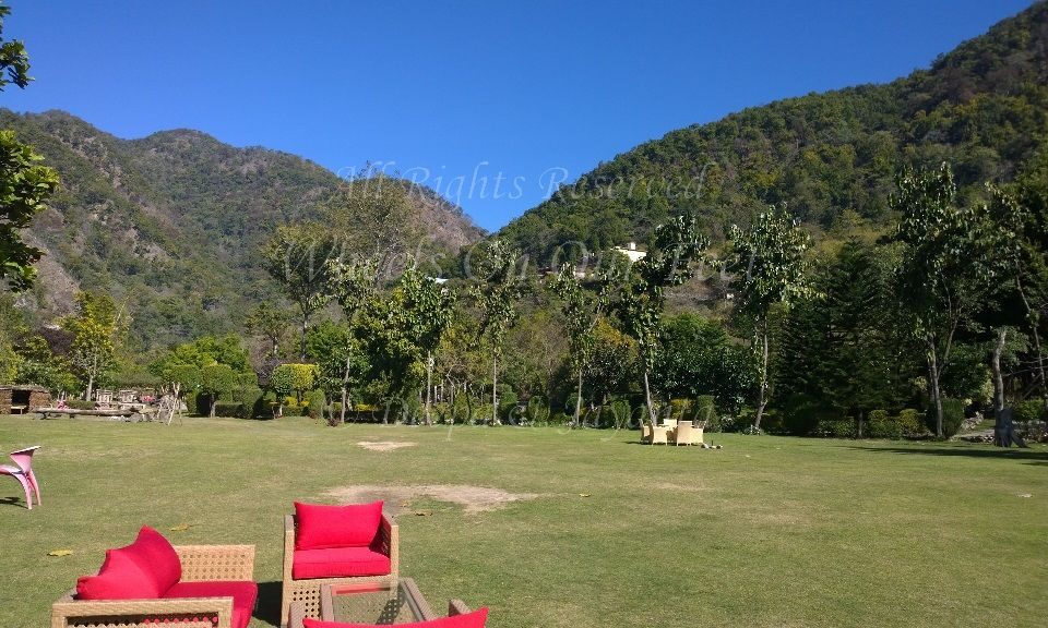 Review -- Solluna Resort in Jim Corbett