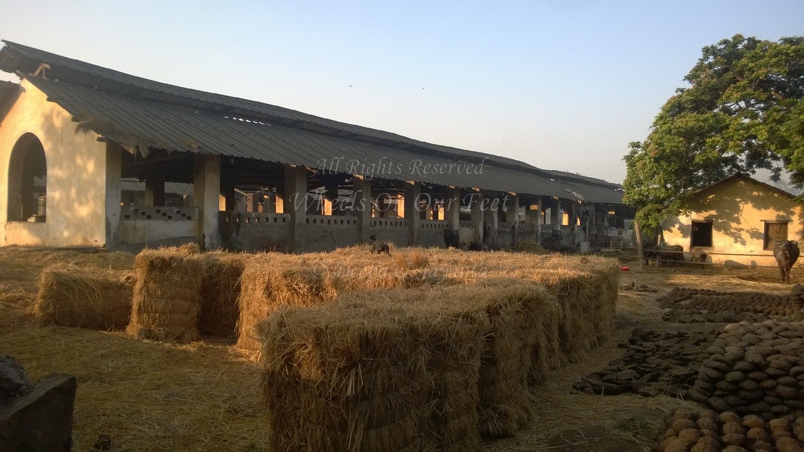 aarey milk colony tour