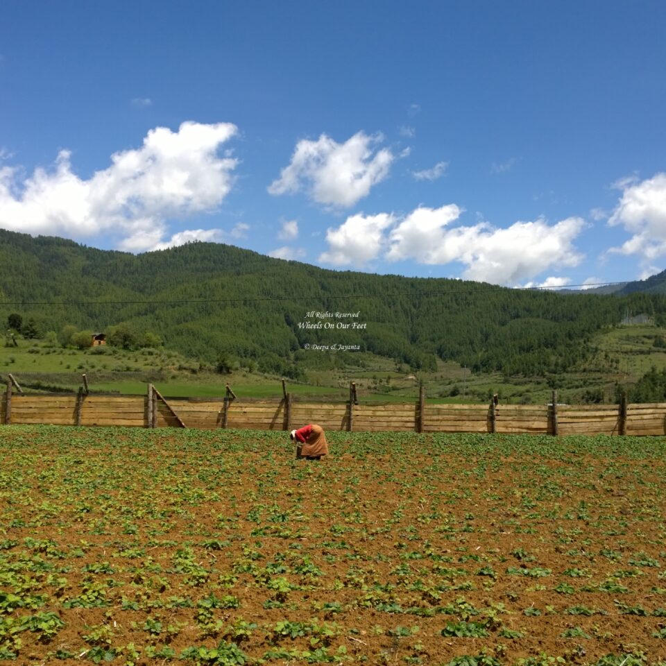 Chume Valley in Bhutan