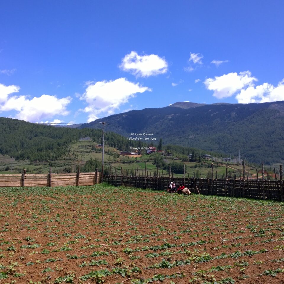 Chume Valley in Bhutan