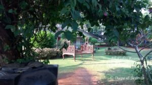 Resort Review: Prakruti Resort in Kashid, Maharashtra