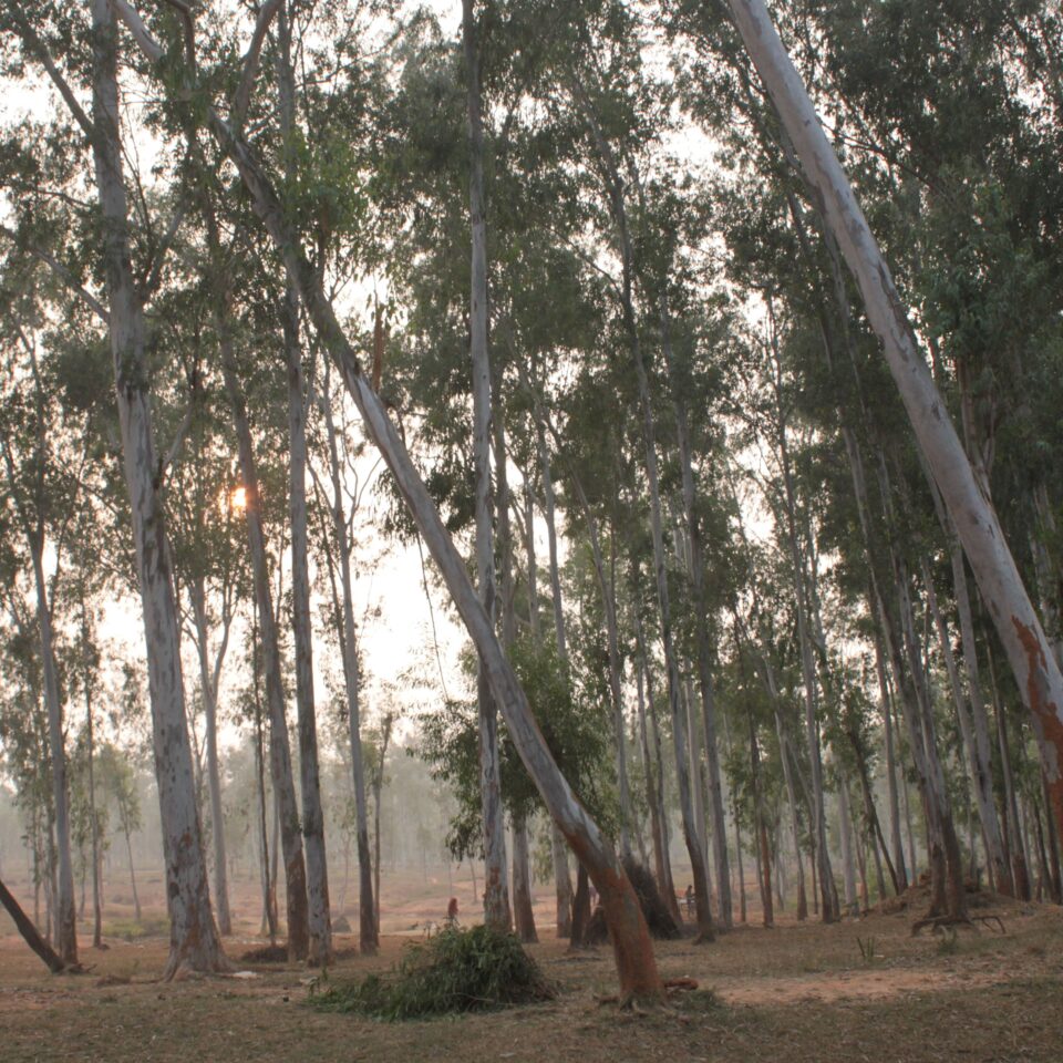 Touring Sonajhuri Gram in Shantiniketan