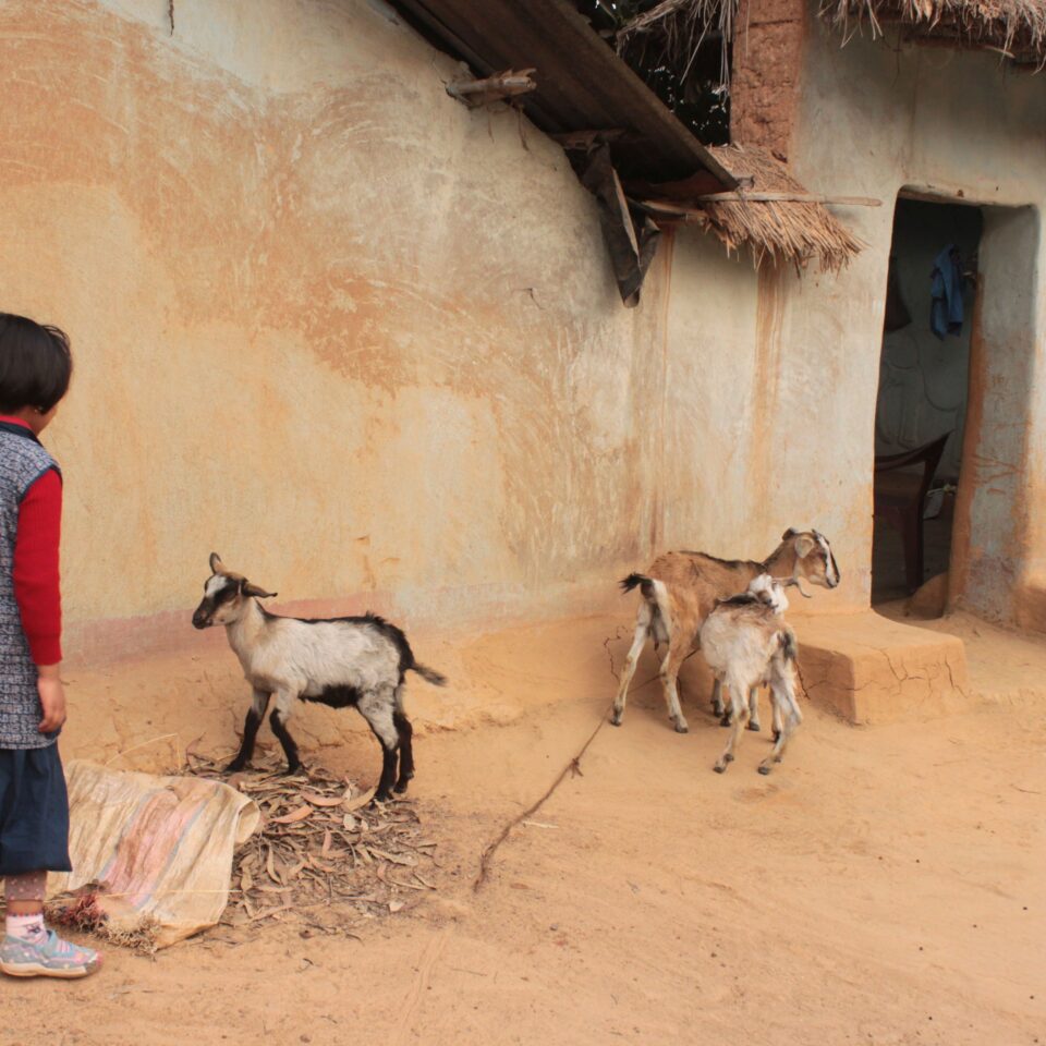 Touring Sonajhuri Gram in Shantiniketan