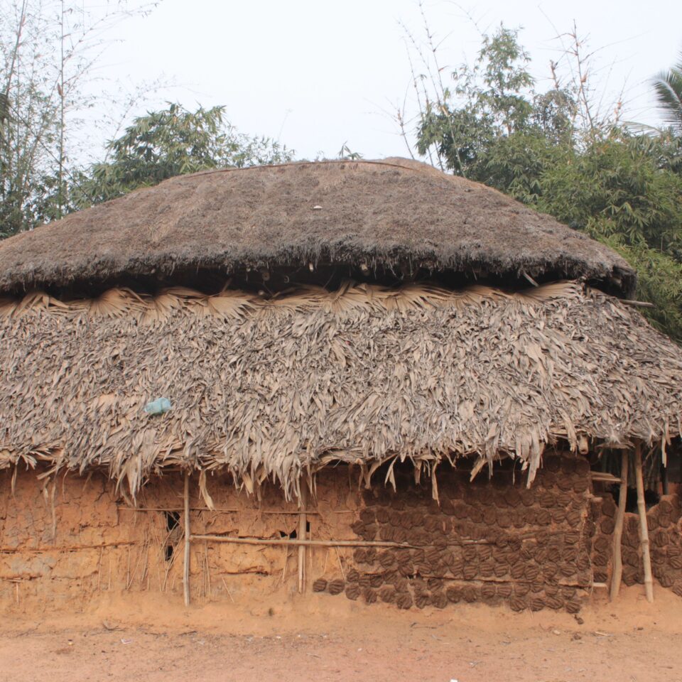 Touring Sonajhuri Gram in Shantiniketan