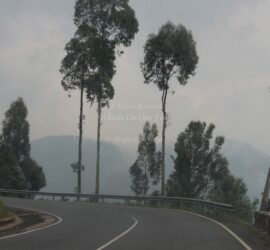 Drive from Kigali to Gisenyi, in Rwanda.