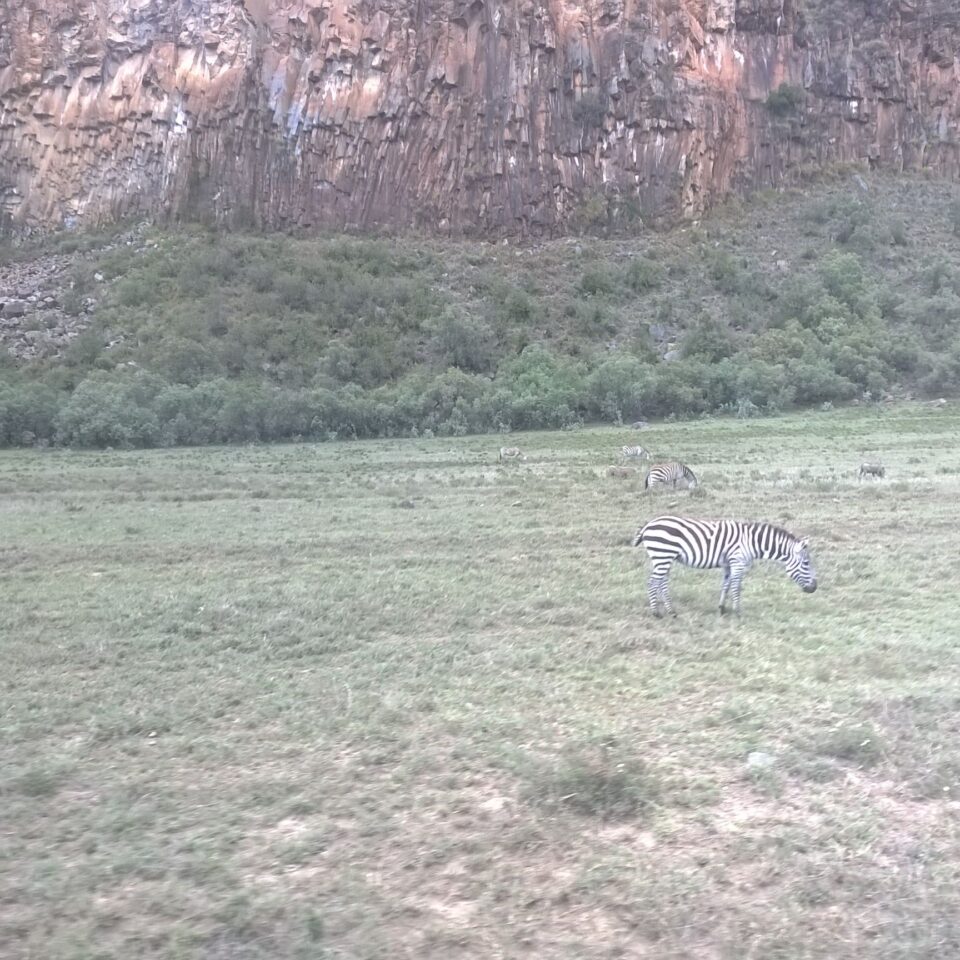 Tour of the Hell’s Gate National Park in Naivasha, Kenya