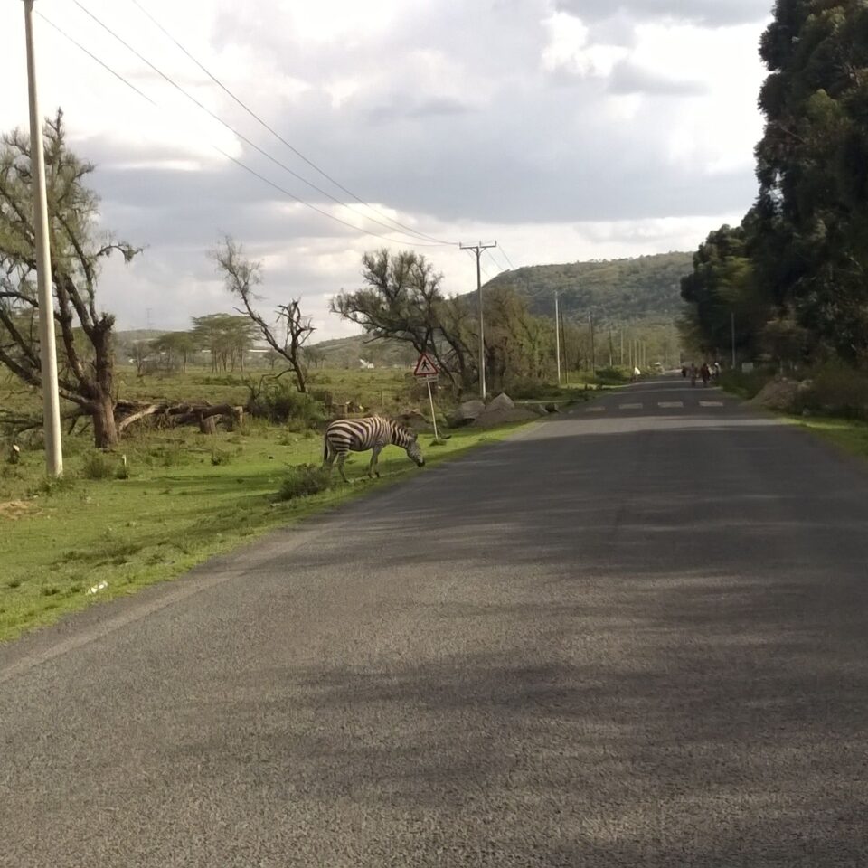 Tour of the Hell’s Gate National Park in Naivasha, Kenya