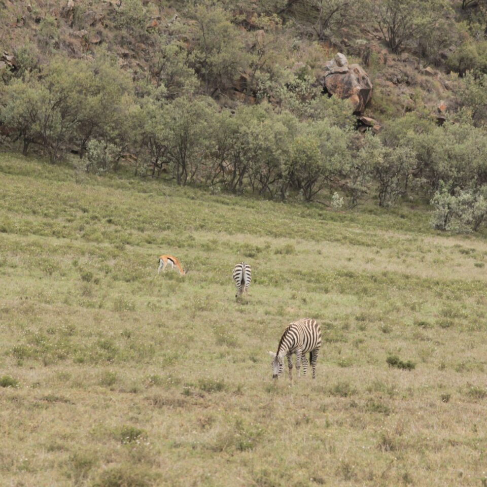 Tour of the Hell’s Gate National Park in Naivasha, Kenya