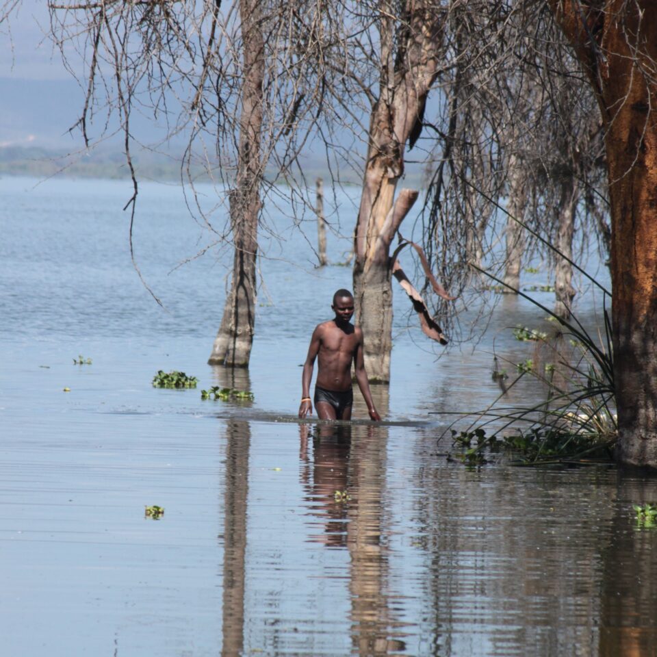 Take A Boat Ride on Lake Naivasha, Kenya