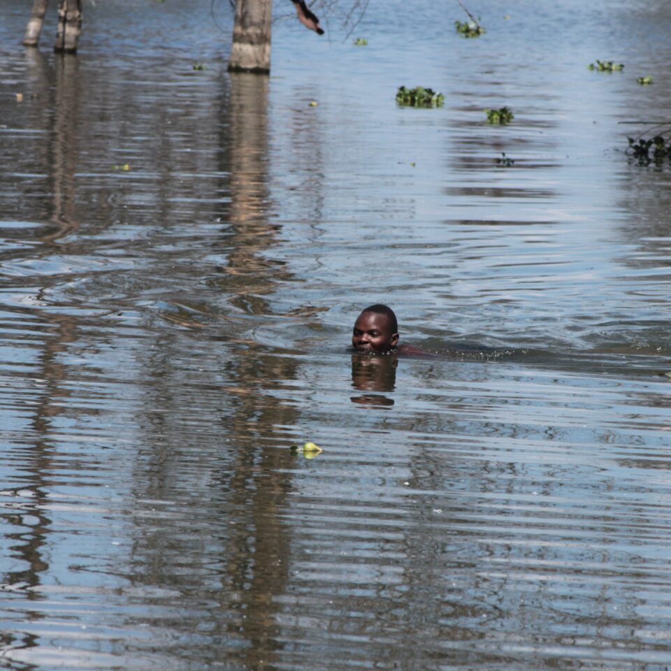 Take A Boat Ride on Lake Naivasha, Kenya