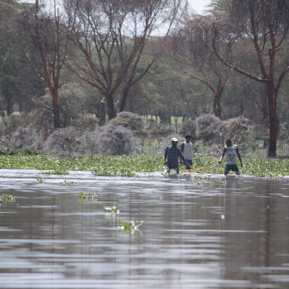 Take A Boat Ride on Lake Naivasha, Kenya