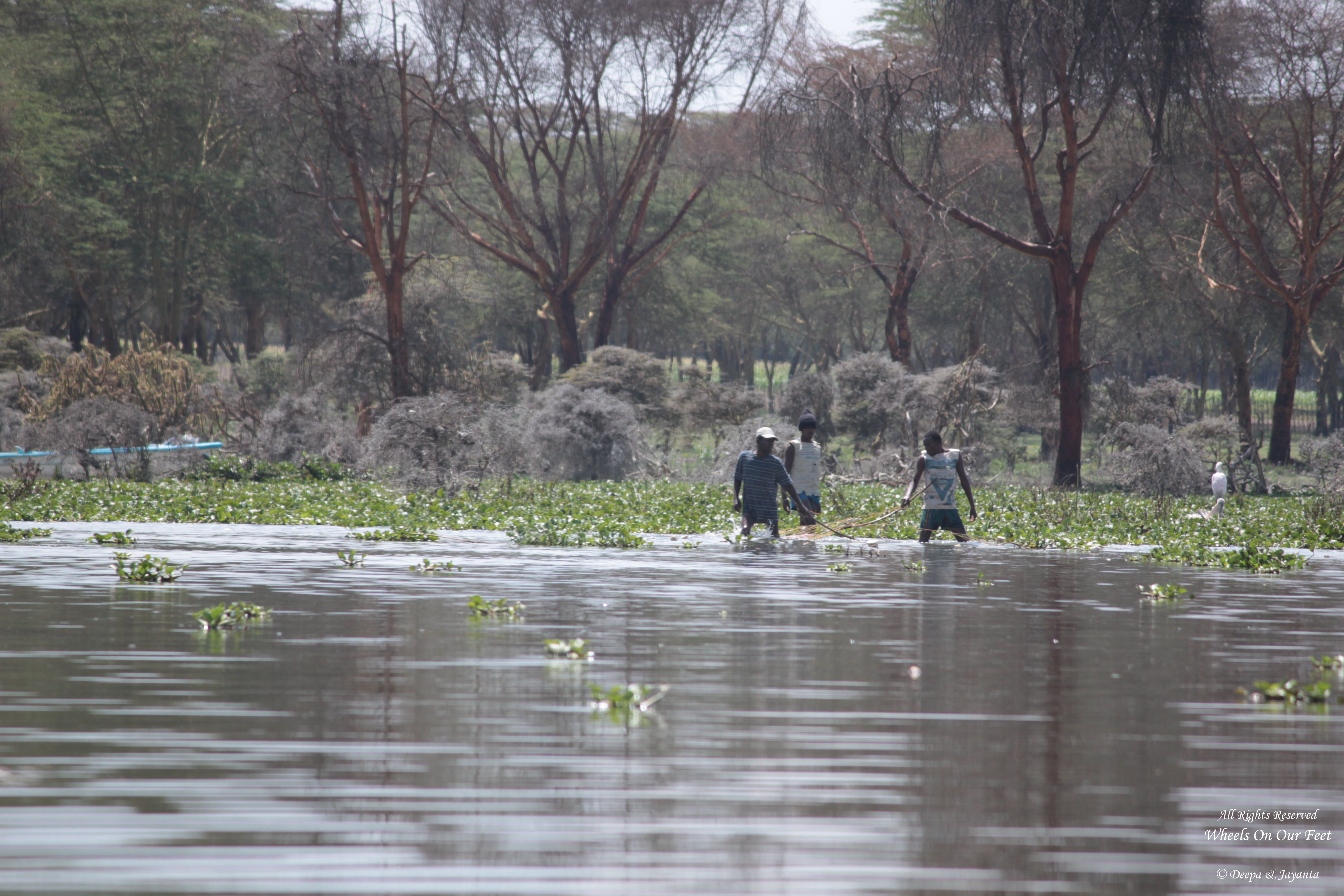 Lake Naivasha in Kenya (8) - Wheels On Our Feet