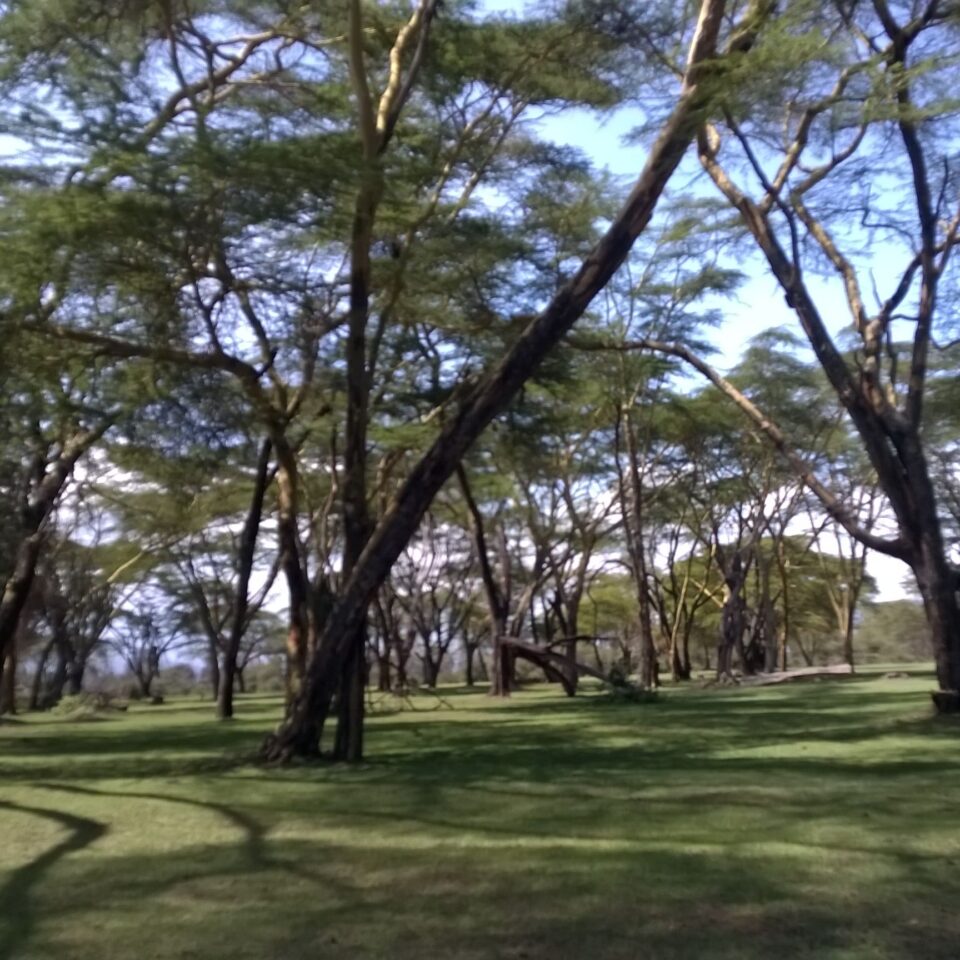 Hotel Review: Lake Naivasha Sopa Resort, Kenya