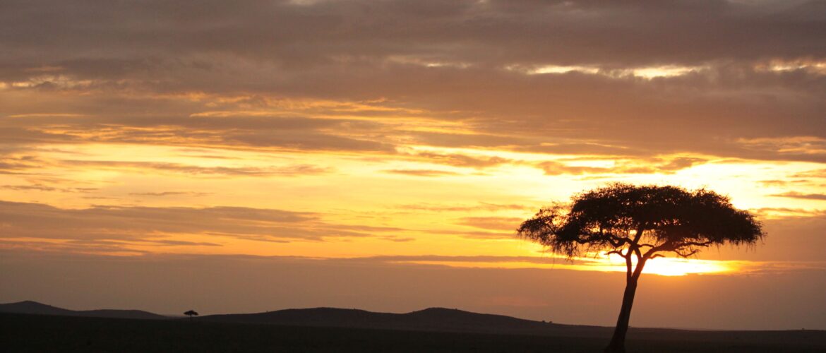 Maasai Mara Sunset Safari/Game Drive