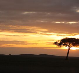 Maasai Mara Sunset Safari/Game Drive