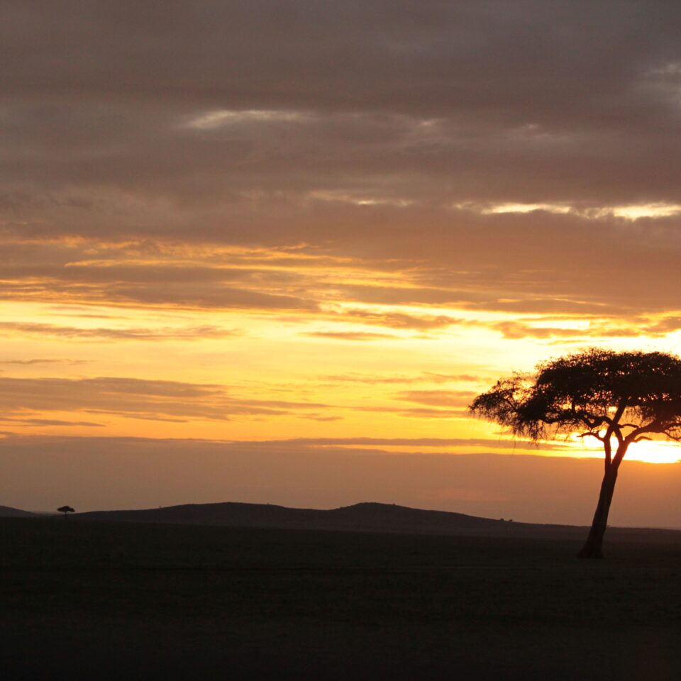 Maasai Mara Sunset Safari/Game Drive