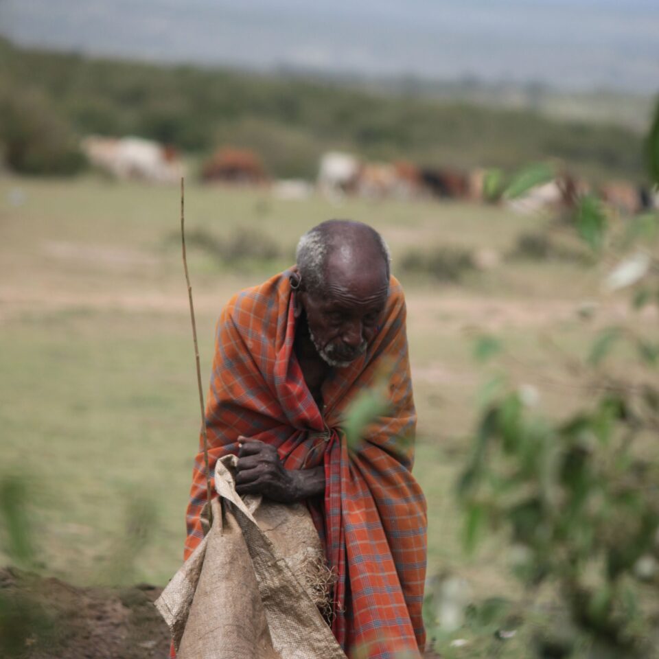 Tour of a Masai Village in Masai Mara, Kenya