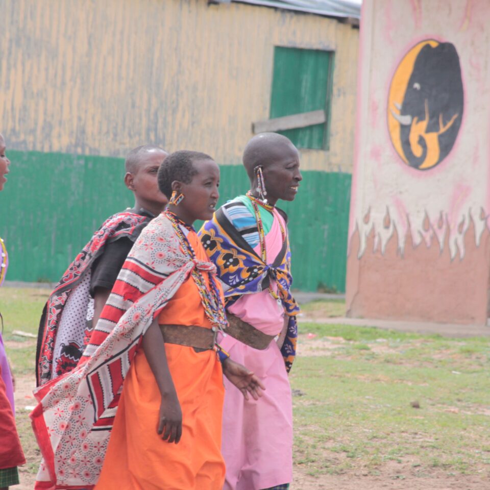 Tour of a Masai Village in Masai Mara, Kenya