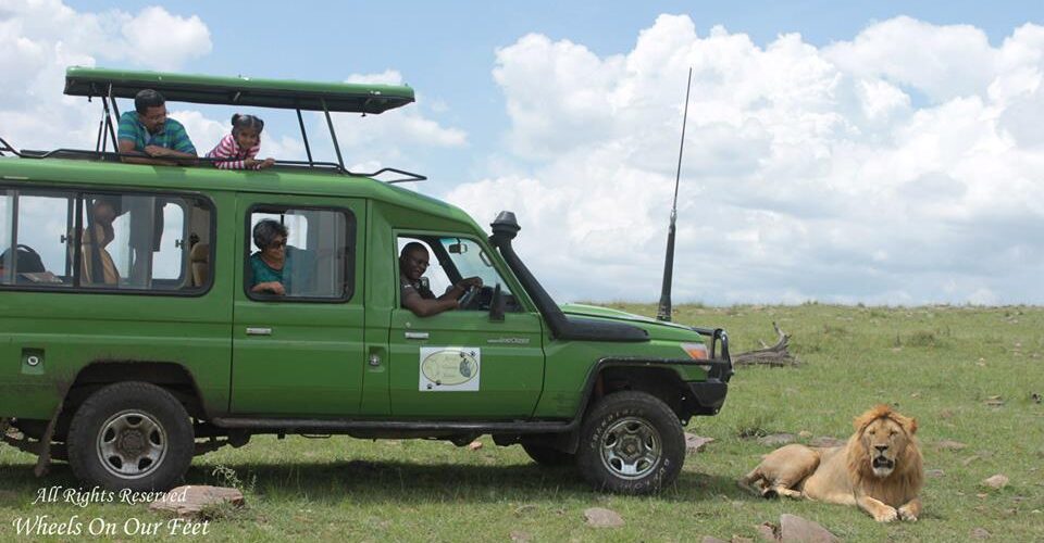 Full-day game drive in Maasai Mara