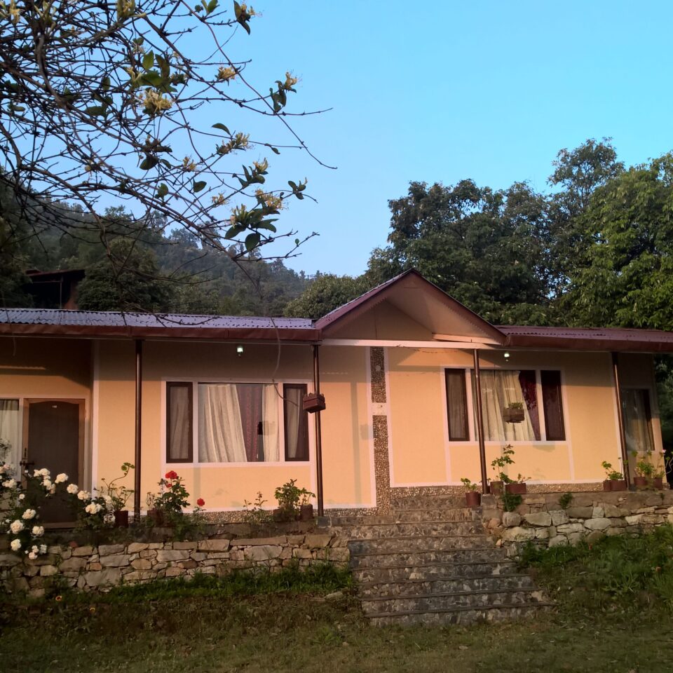 Stay at the Misty Mountains in Jhaltola, Uttarakhand