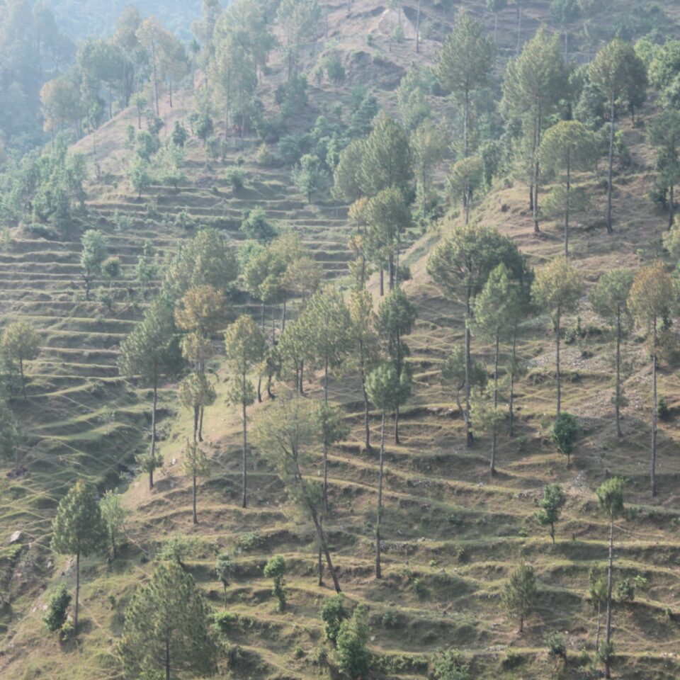 The 2nd Halt in Uttarakhand Road-trip -- Abbott Mount: Drive from Jeolikote to Abbott Mount