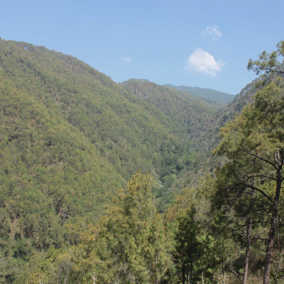 The 2nd Halt in Uttarakhand Road-trip -- Abbott Mount: Drive from Jeolikote to Abbott Mount