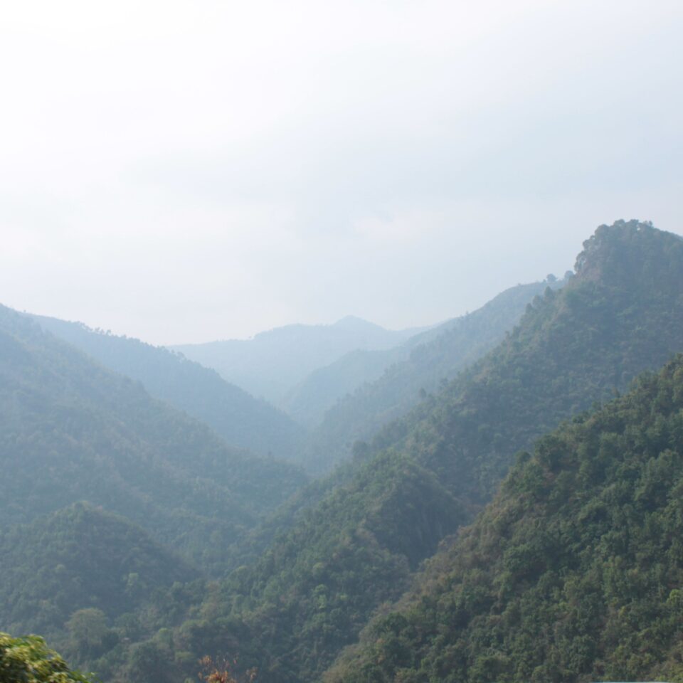 The 2nd Halt in Uttarakhand Road-trip -- Abbott Mount: Drive from Jeolikote to Abbott Mount