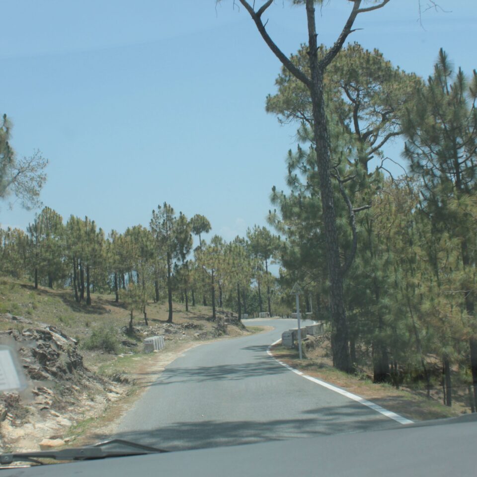 Drive to Munsiyari, Uttarakhand