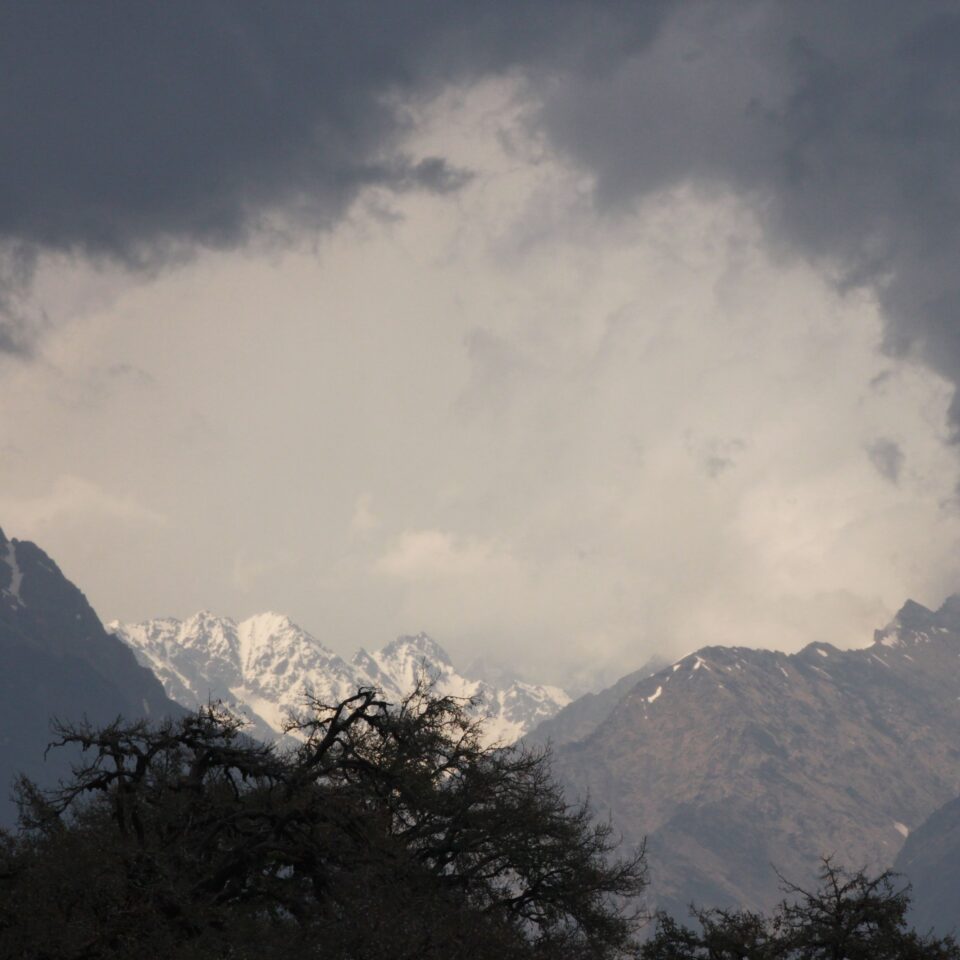 Drive to Munsiyari, Uttarakhand