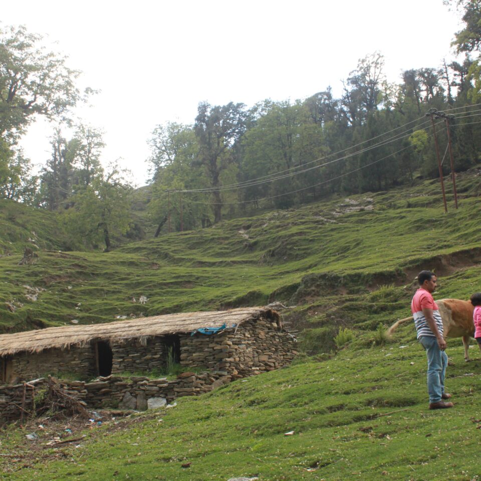 Sight seeing in Munsiyari