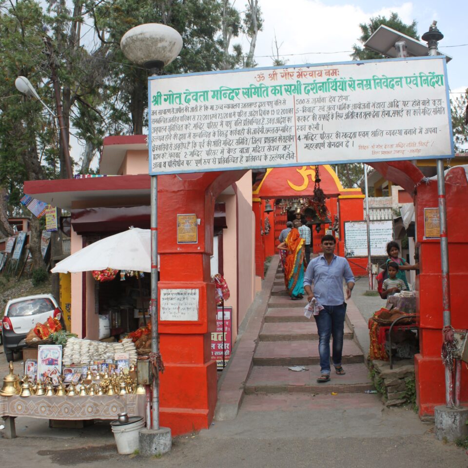 Sight-Seeing in Binsar, Uttarakhand