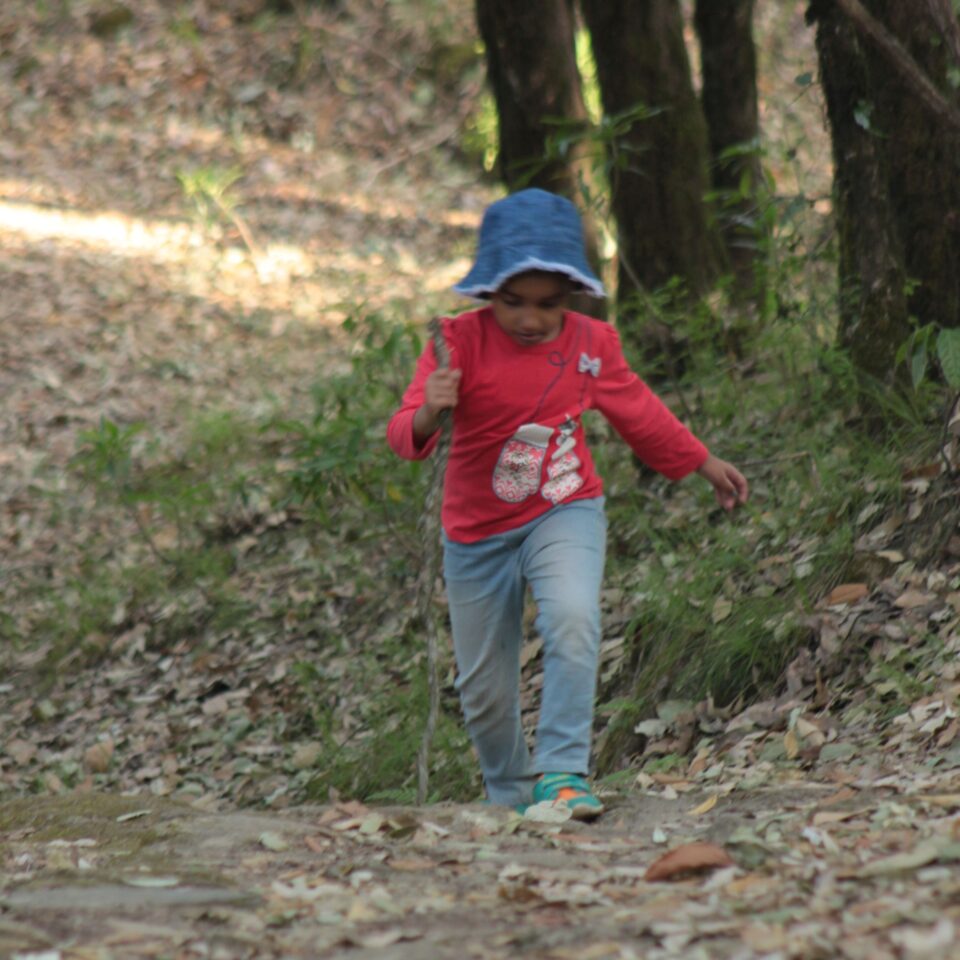 SStay at the Grand Oak Manor in Binsar, Uttarakhand