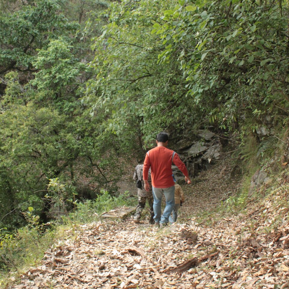 Sight-seeing in Binsar, Uttarakhand