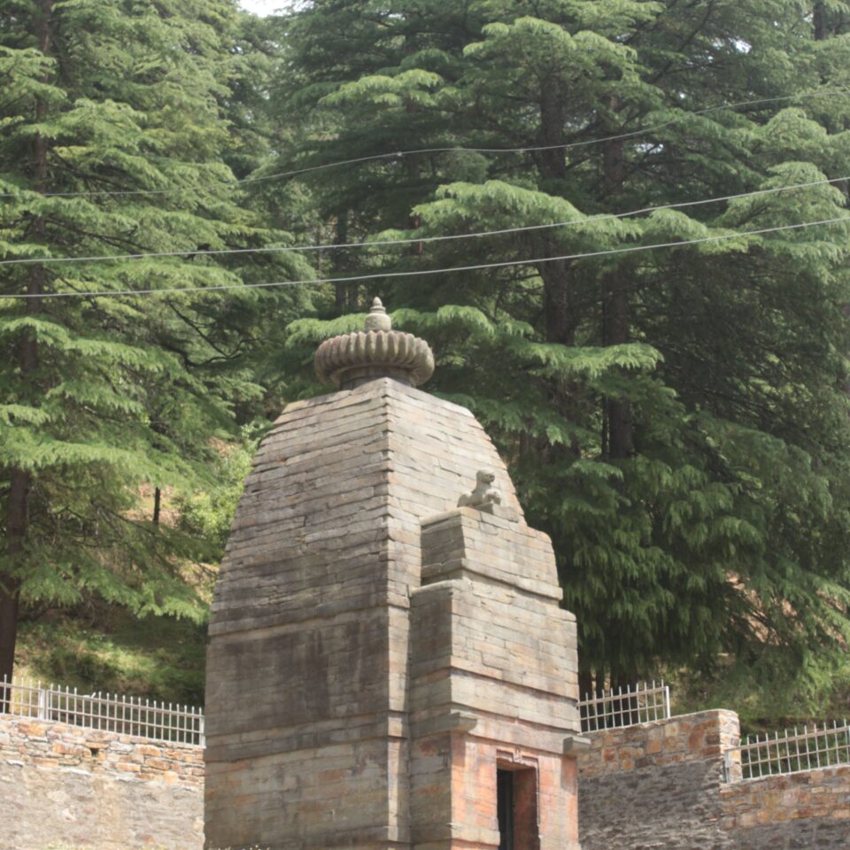 Sight-Seeing in Binsar, Uttarakhand