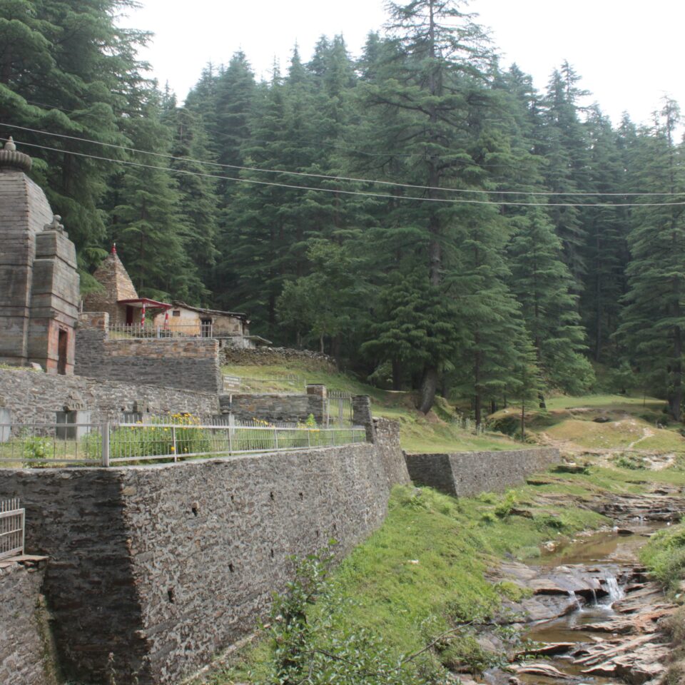 Sight-Seeing in Binsar, Uttarakhand