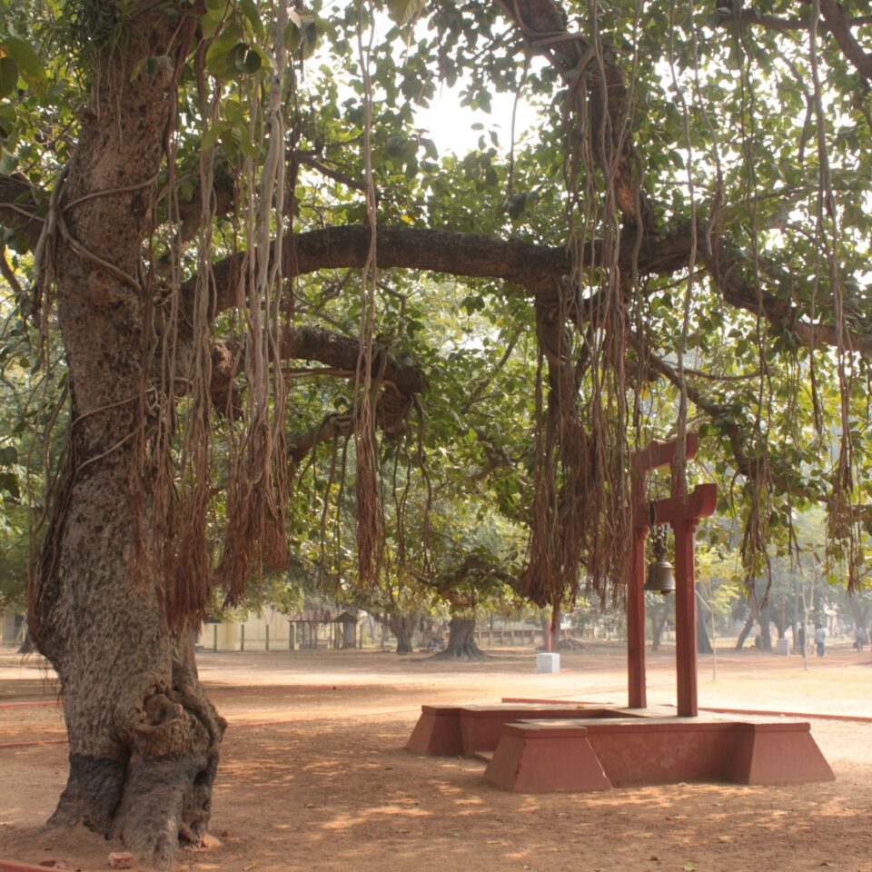 Tour of Vishwa Bharti in Shantiniketan