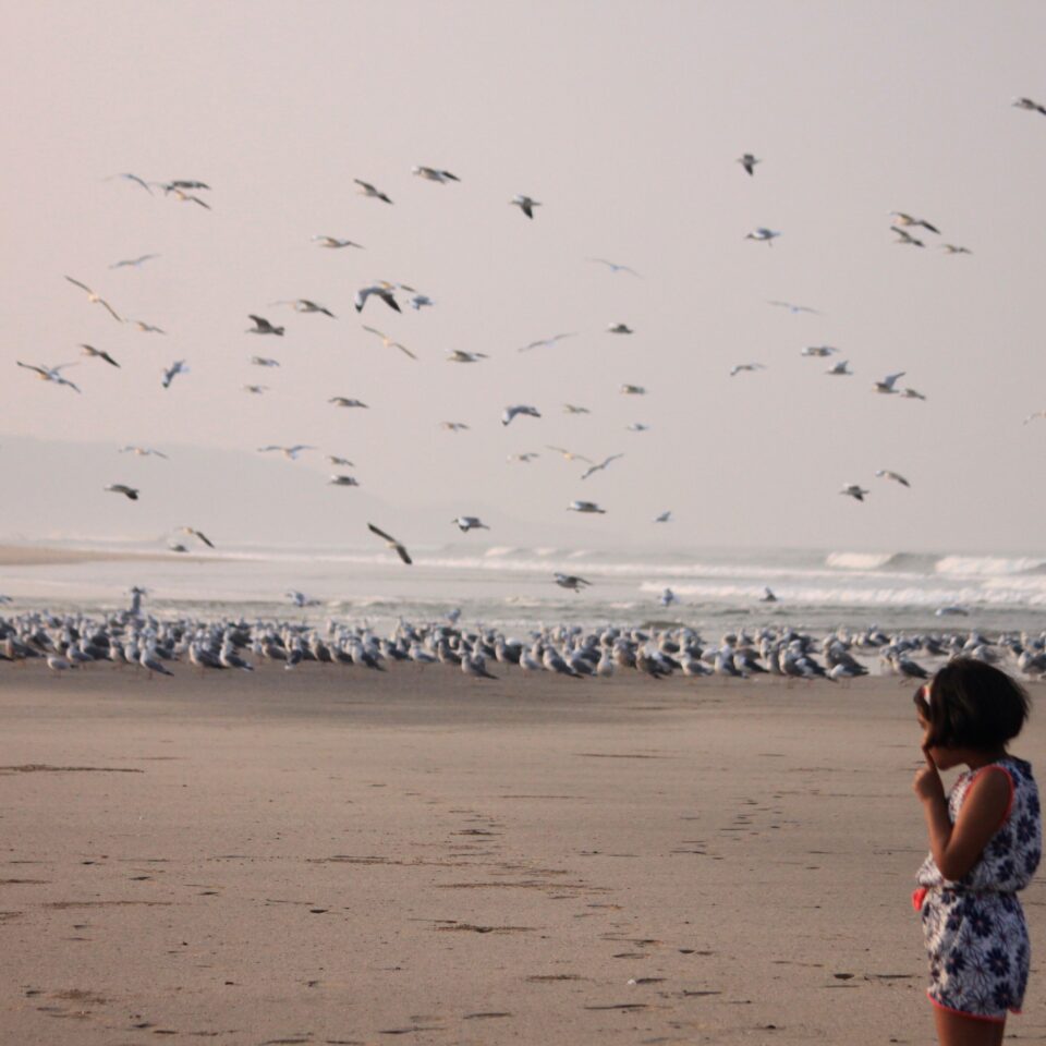 Ganapatiphule Beach