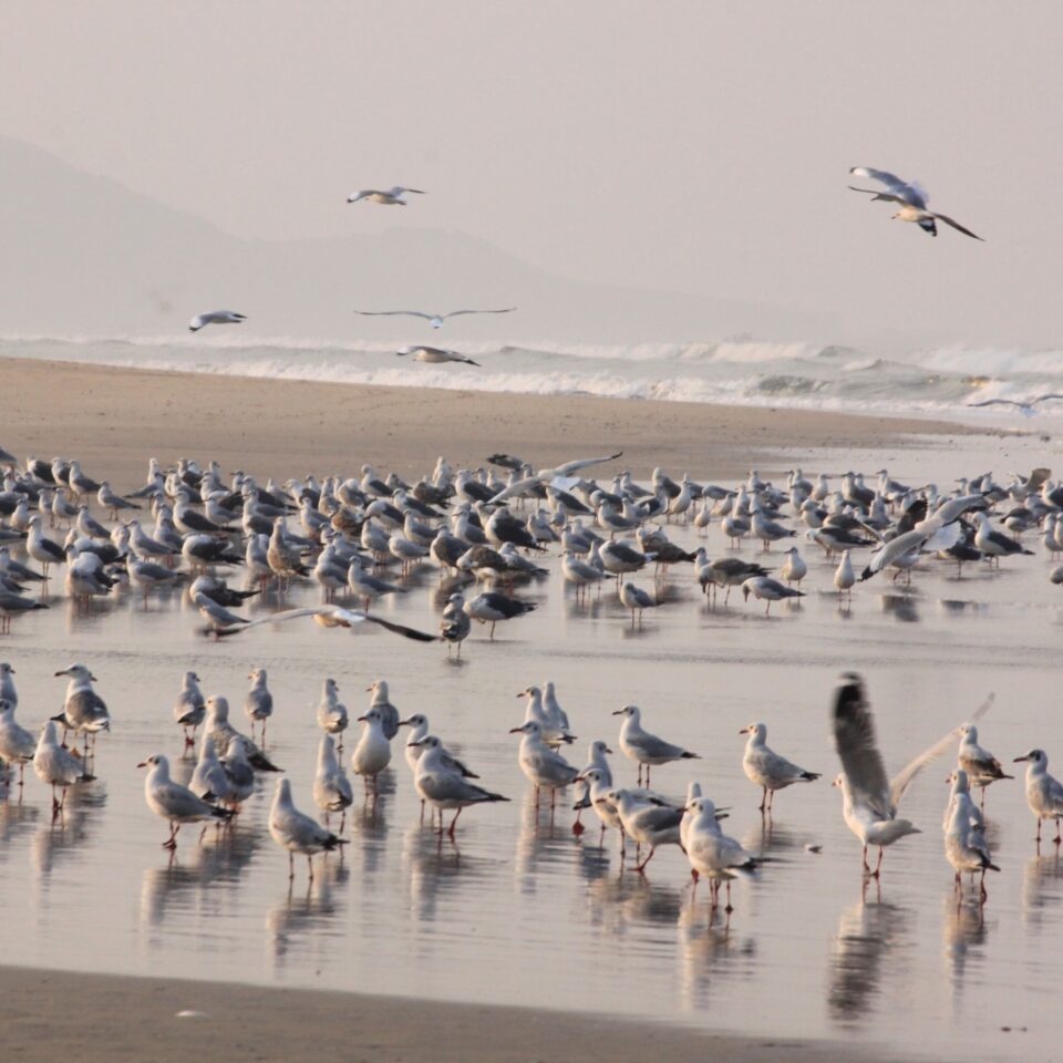 Ganapatiphule Beach