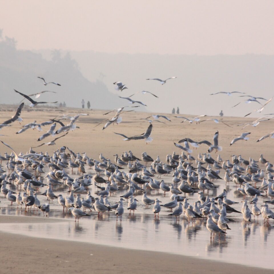 Ganapatiphule Beach