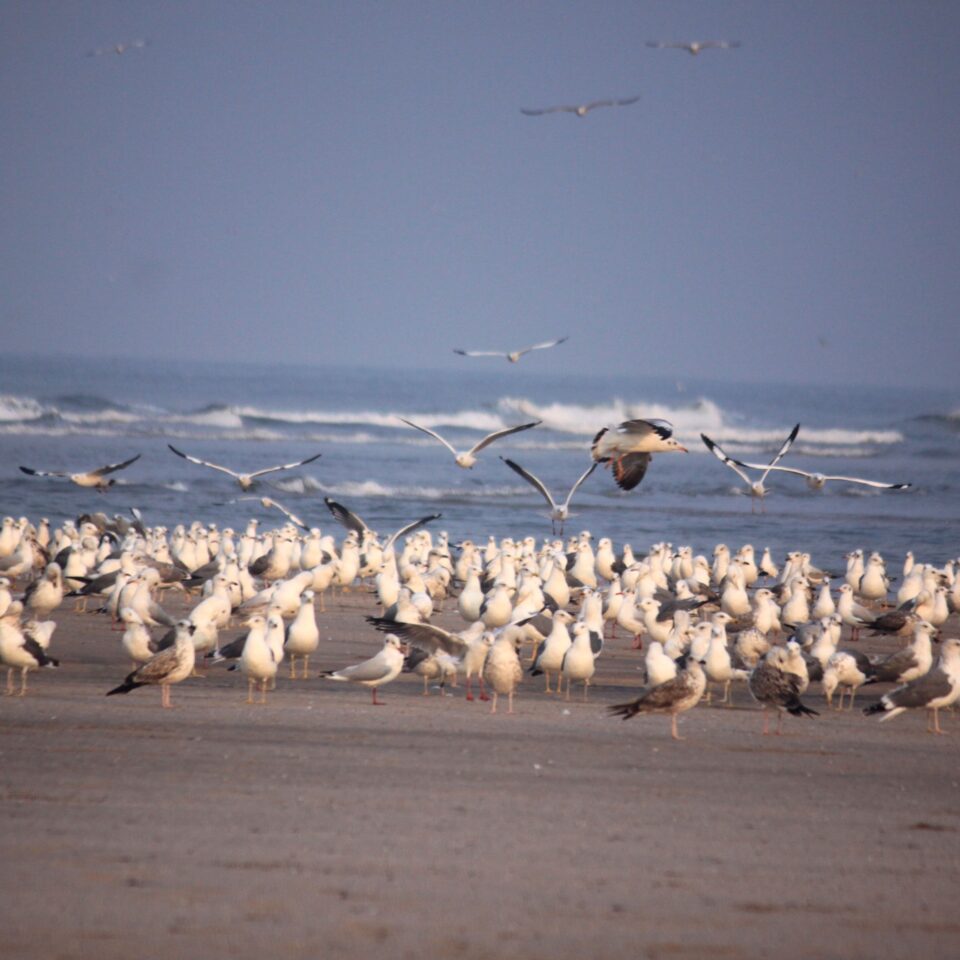 Ganapatiphule Beach