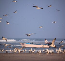 Ganapatiphule Beach