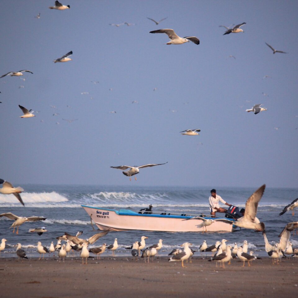 Ganapatiphule Beach