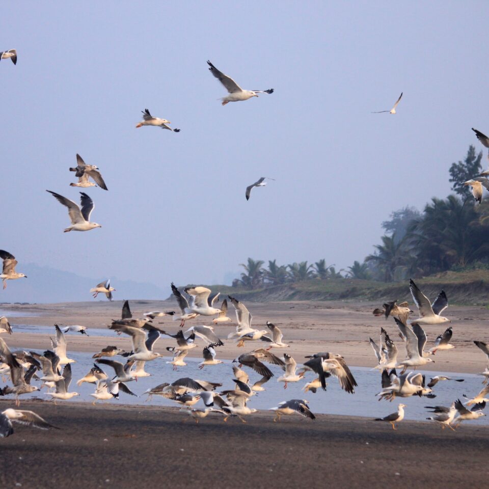 Ganapatiphule Beach