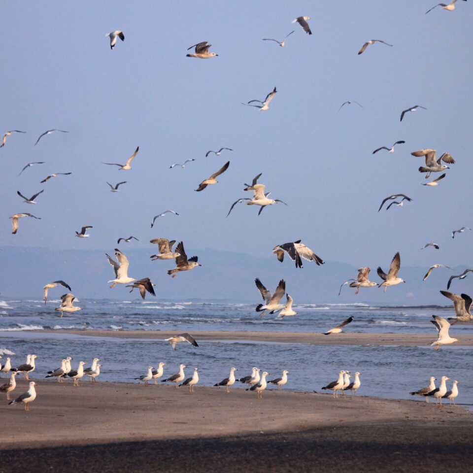 Ganapatiphule Beach